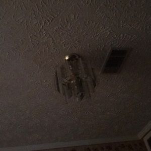 Meet your Posher, Diana